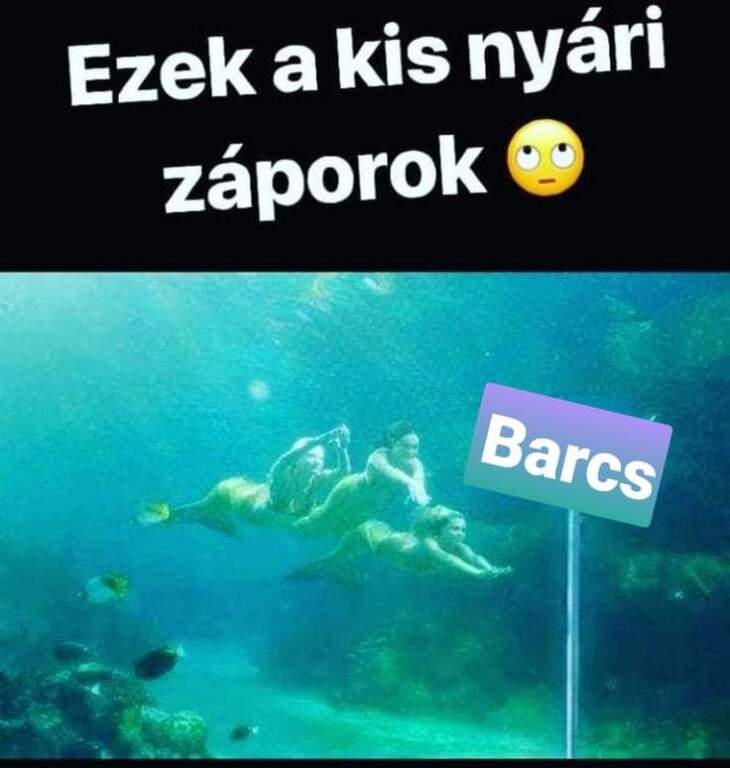 beillesztett kép