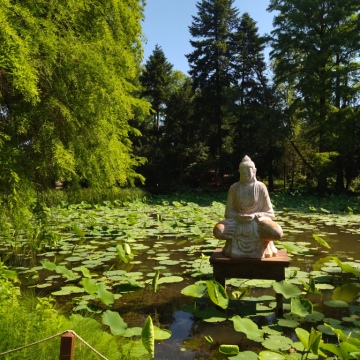 pic