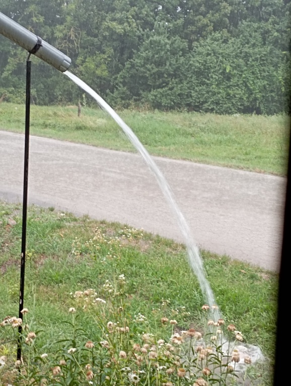 beillesztett kép