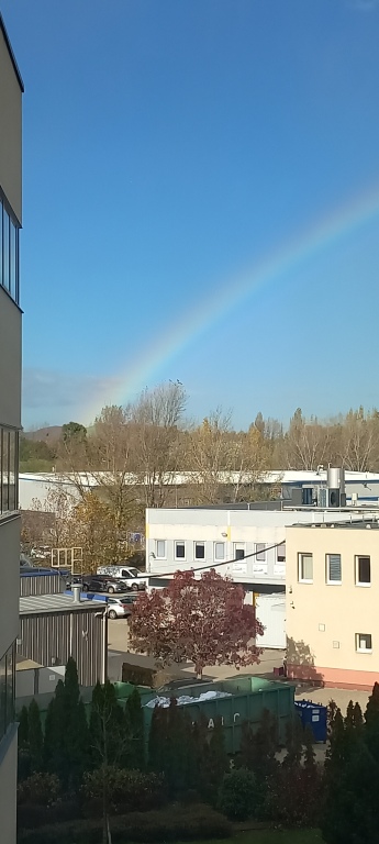 beillesztett kép