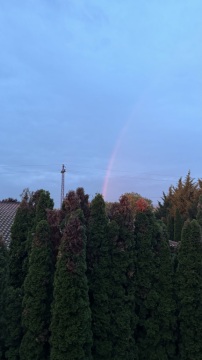 pic