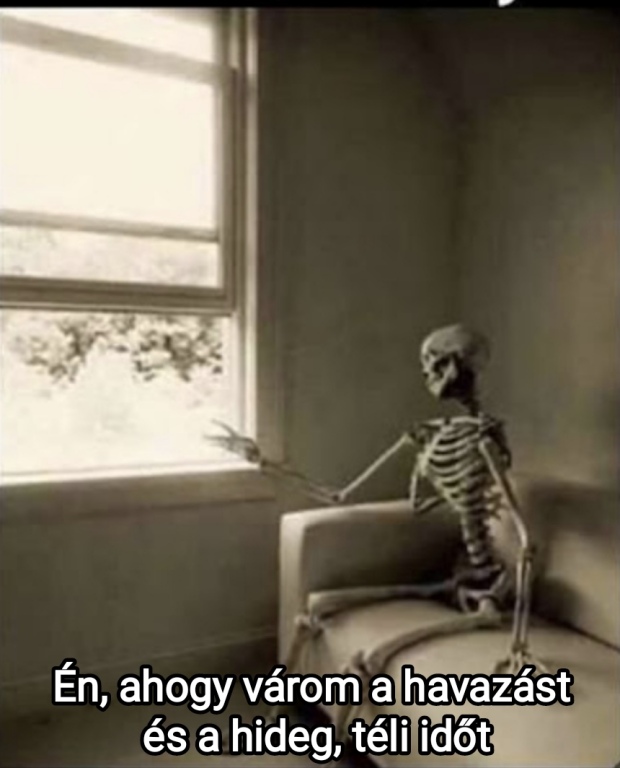 beillesztett kép