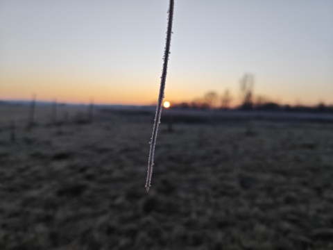 pic