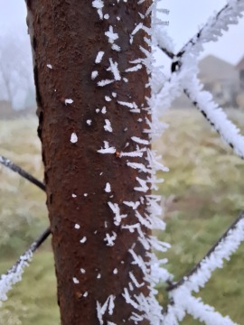 pic