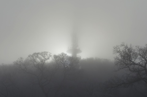 pic