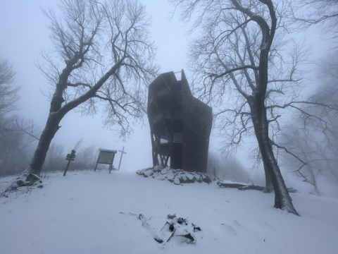 pic