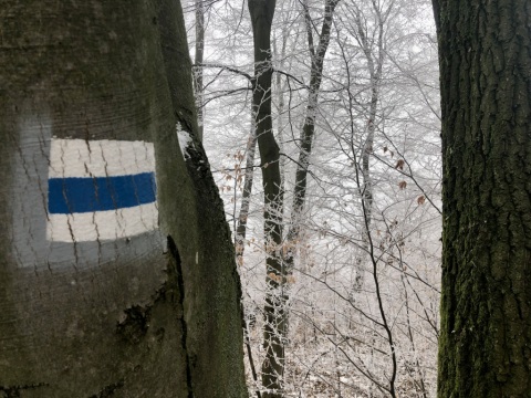 pic
