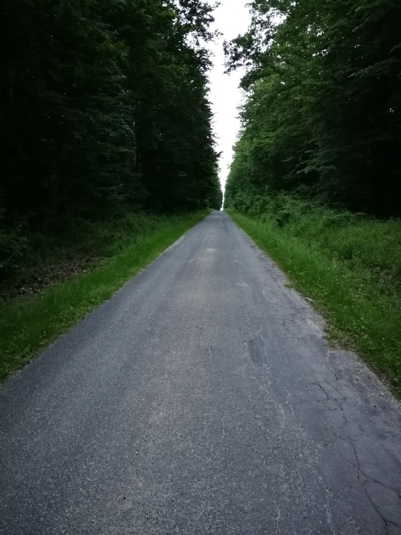 beillesztett kép