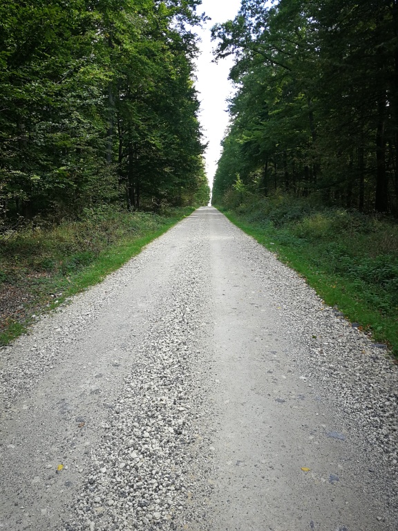 beillesztett kép
