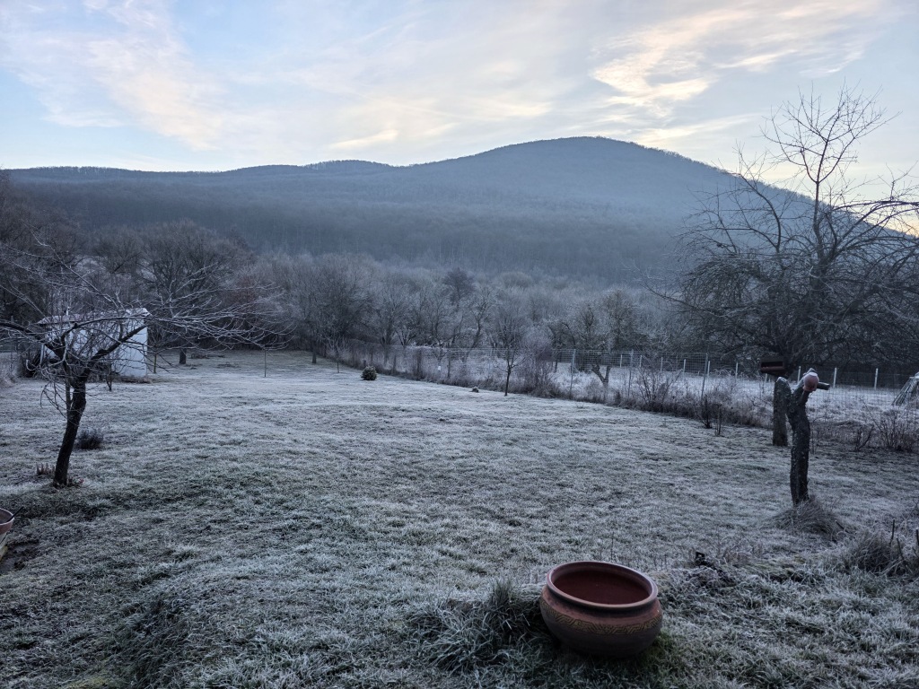 beillesztett kép