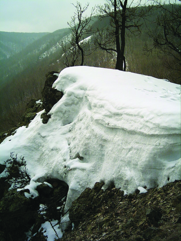 beillesztett kép