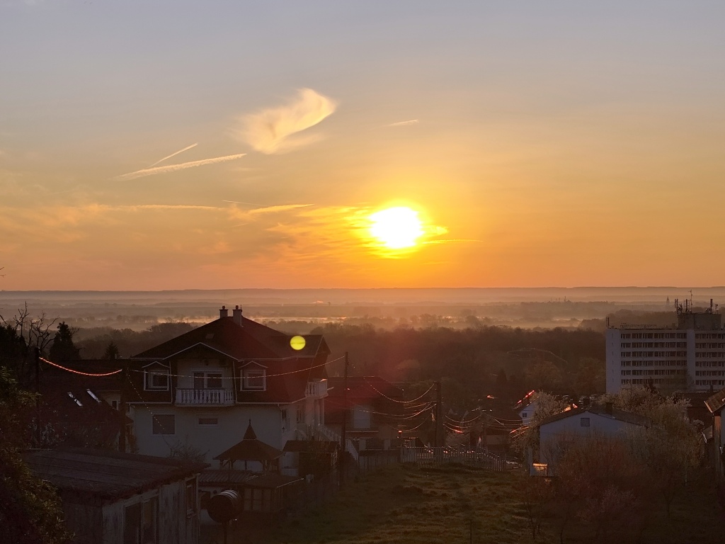 beillesztett kép