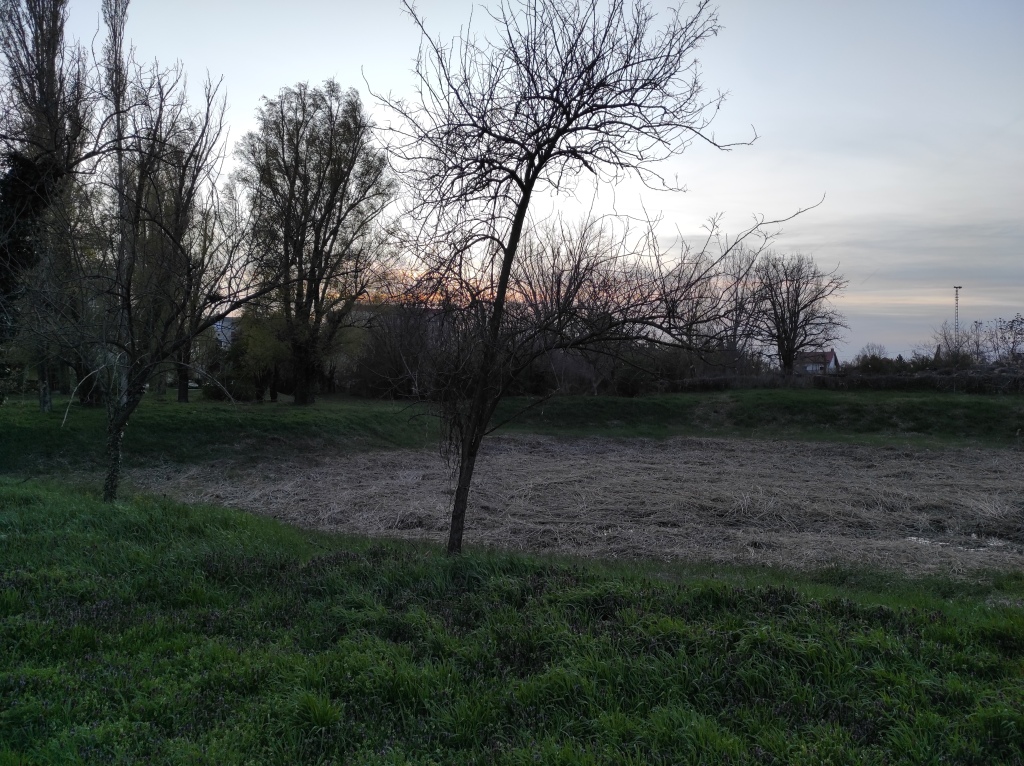 beillesztett kép