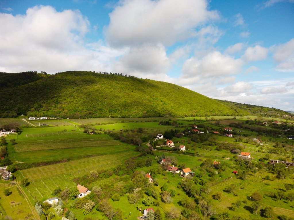 beillesztett kép
