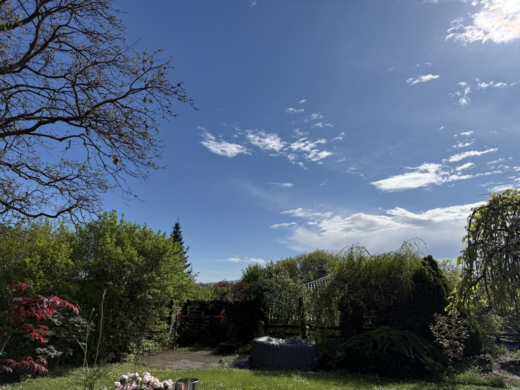 beillesztett kép