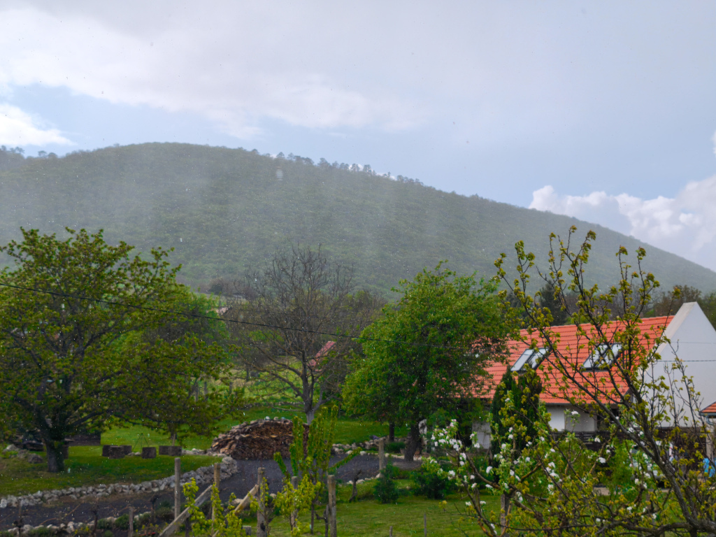 beillesztett kép