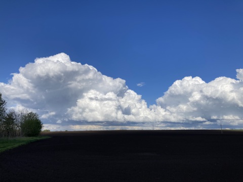 pic