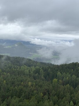 pic
