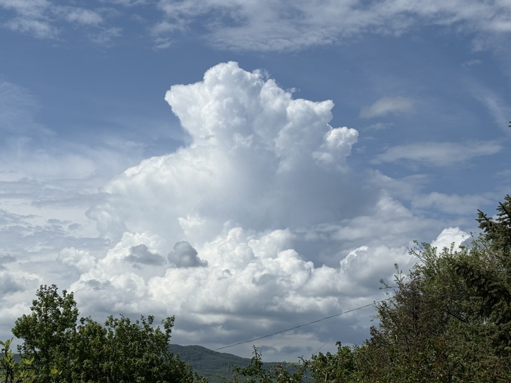 beillesztett kép