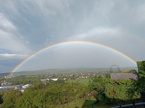 pic