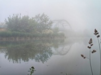 pic