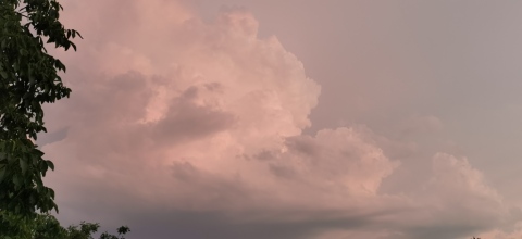 pic