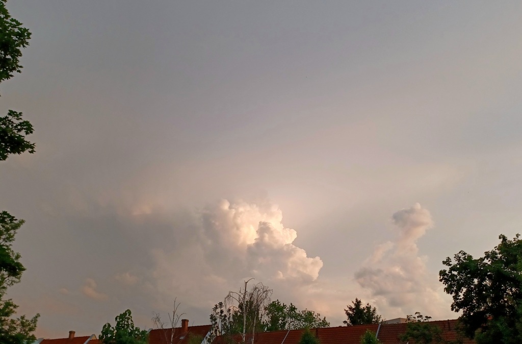 beillesztett kép