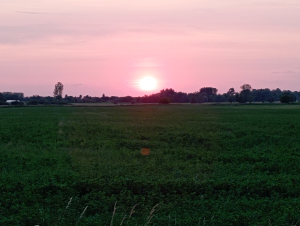 beillesztett kép