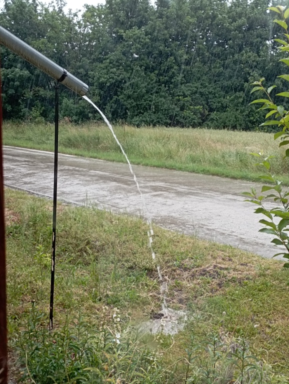 beillesztett kép
