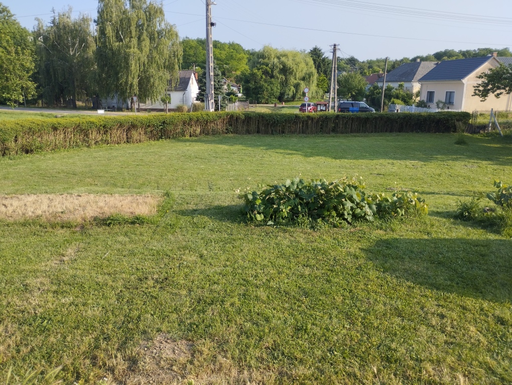 beillesztett kép