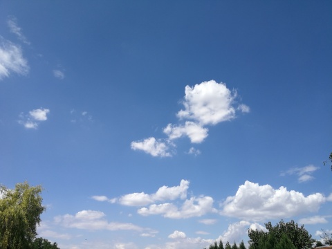 pic