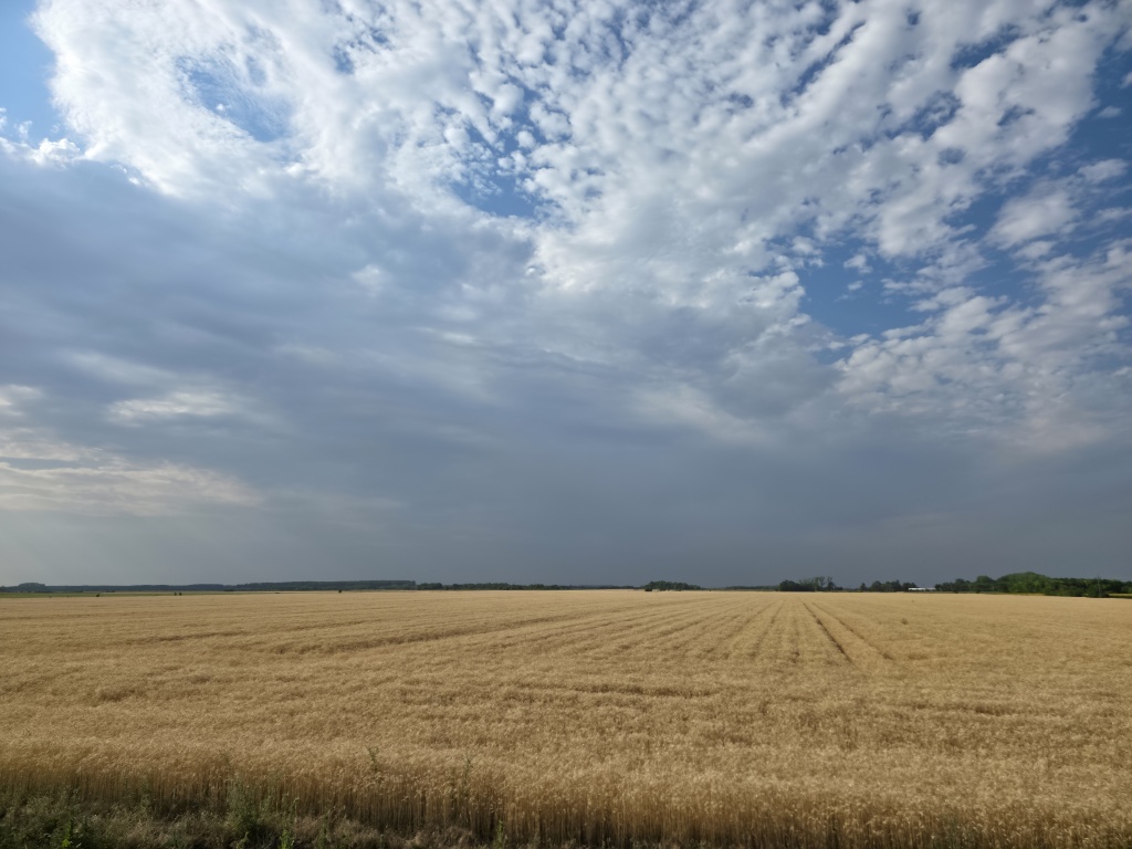 beillesztett kép