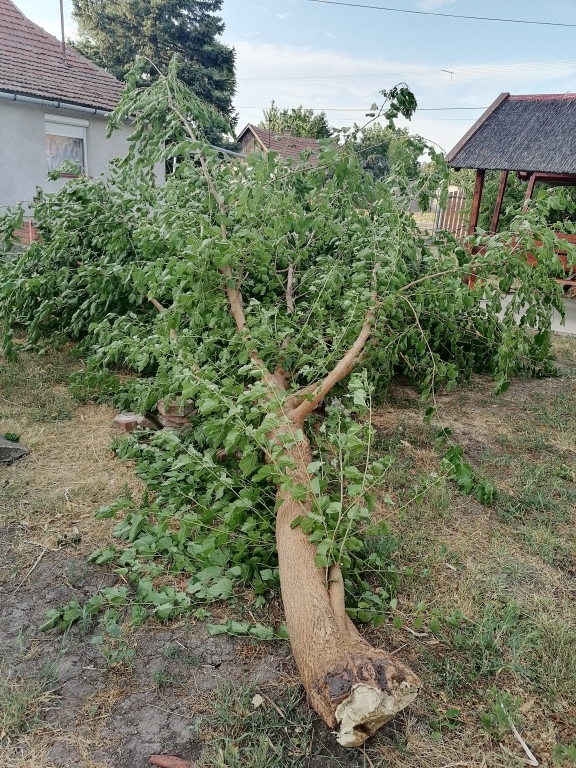 beillesztett kép