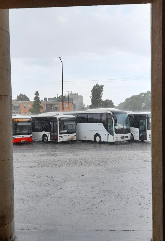 beillesztett kép
