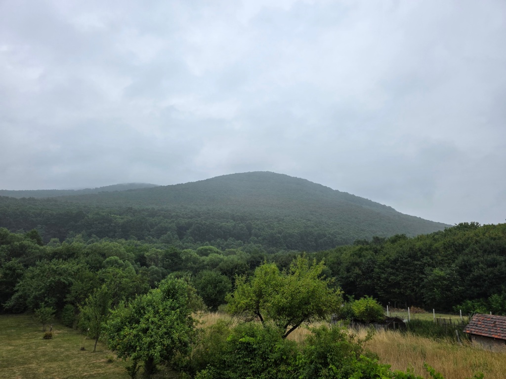 beillesztett kép