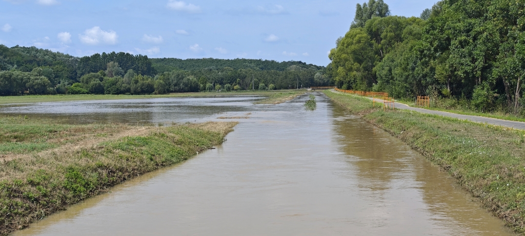 beillesztett kép