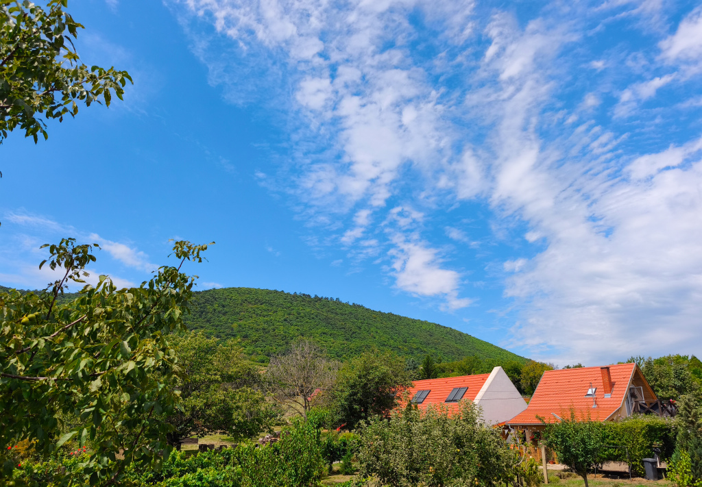 beillesztett kép