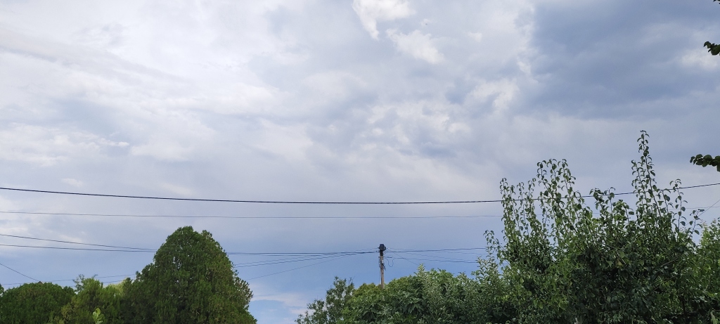 beillesztett kép