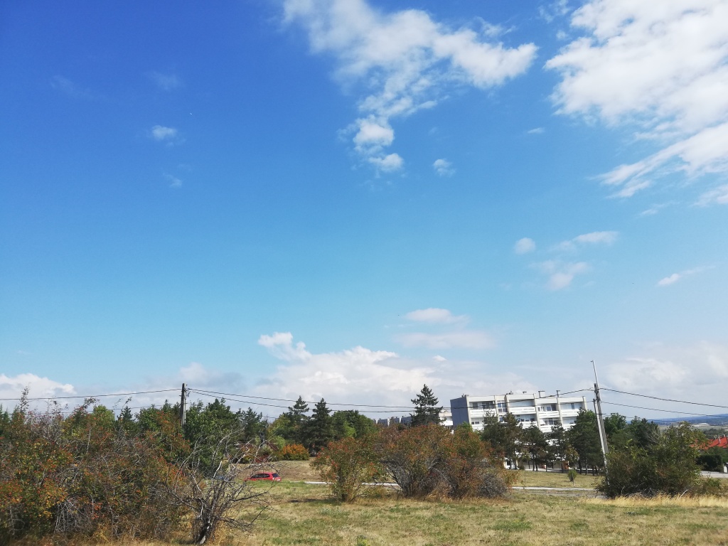 beillesztett kép