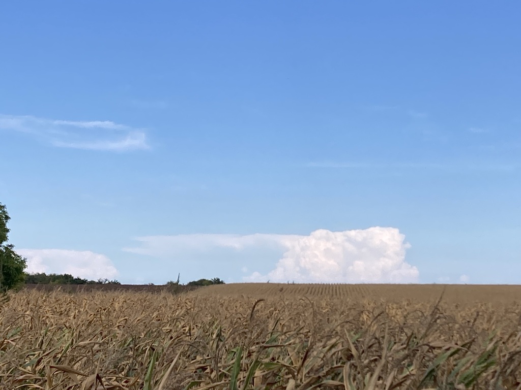 beillesztett kép
