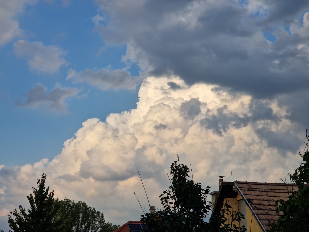 beillesztett kép