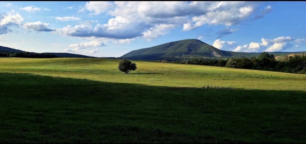 beillesztett kép