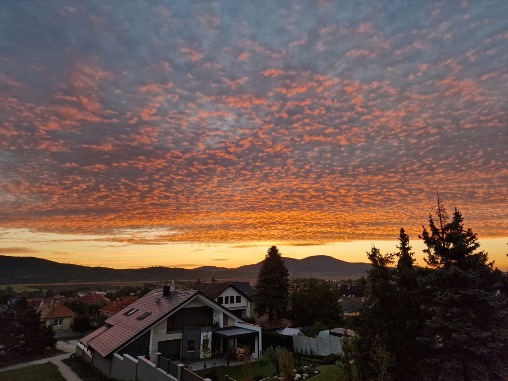 beillesztett kép
