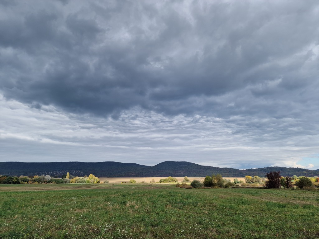 beillesztett kép