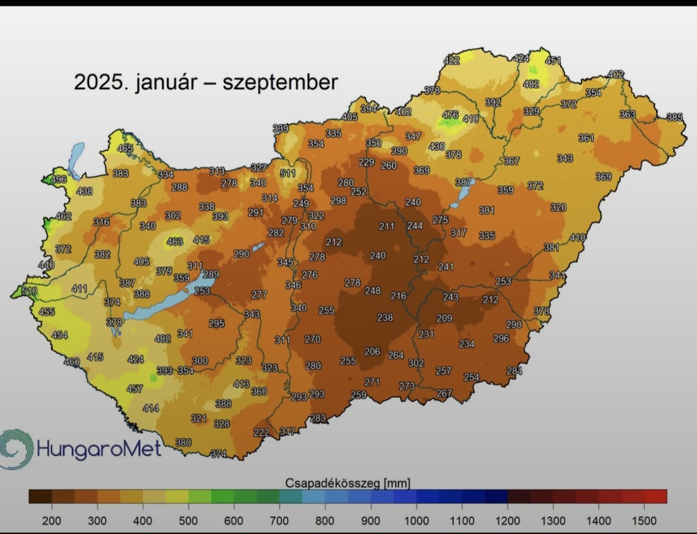 beillesztett kép