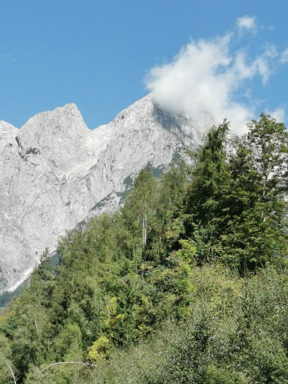 beillesztett kép