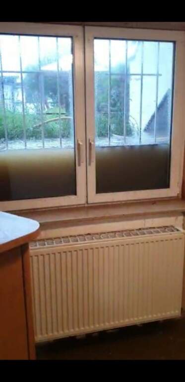 beillesztett kép