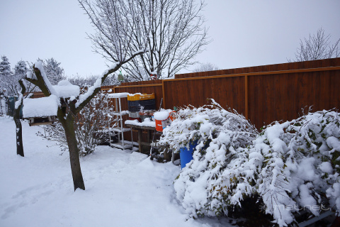pic