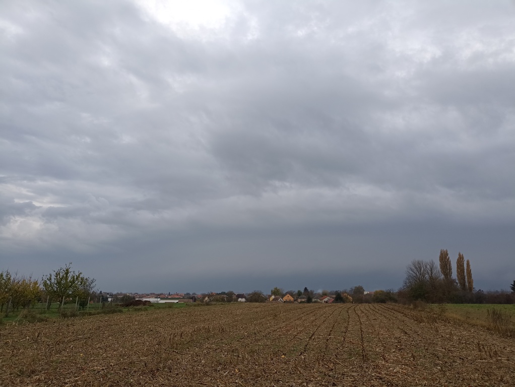 beillesztett kép