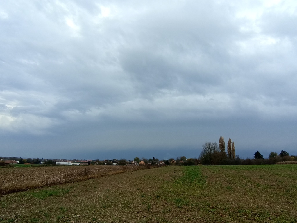 beillesztett kép